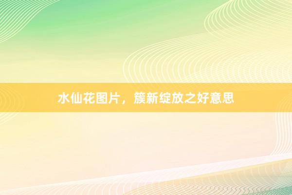 水仙花图片，簇新绽放之好意思